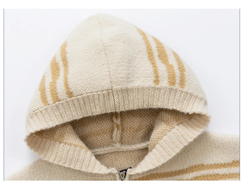Glitch Stripe Zip-up Hooded Sweater