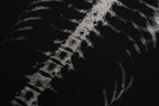Skeleton X-Ray Graphic Long Sleeve