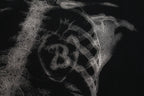 Skeleton X-Ray Graphic Long Sleeve